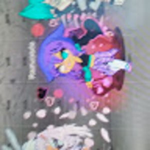 Meet your Posher, Eilla